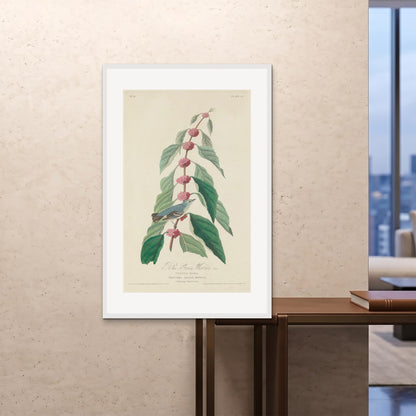 Orlonzo - FRAMED PRINT WHITE 80120cm3248 ROOM