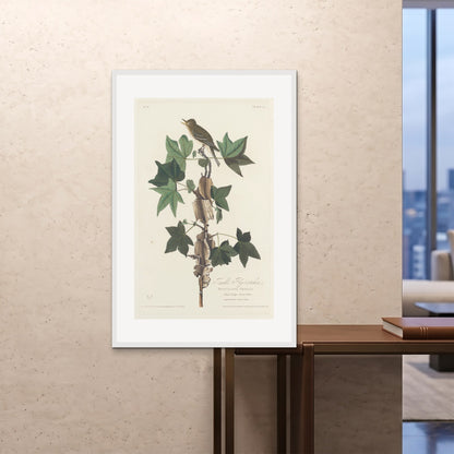Orlonzo - FRAMED PRINT WHITE 80120cm3248 ROOM