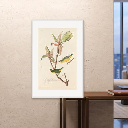 Orlonzo - FRAMED PRINT WHITE 80120cm3248 ROOM