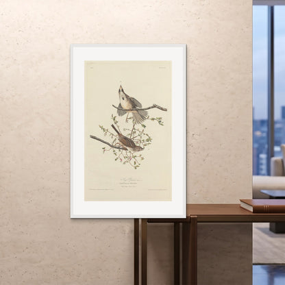 Orlonzo - FRAMED PRINT WHITE 80120cm3248 ROOM