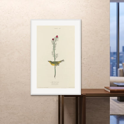 Orlonzo - FRAMED PRINT WHITE 80120cm3248 ROOM