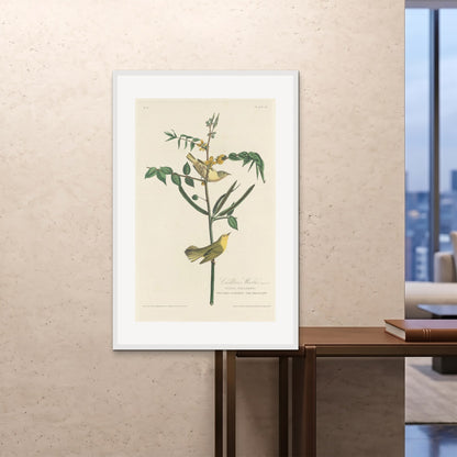 Orlonzo - FRAMED PRINT WHITE 80120cm3248 ROOM