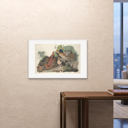 Orlonzo - FRAMED PRINT WHITE 9060cm3624 ROOM