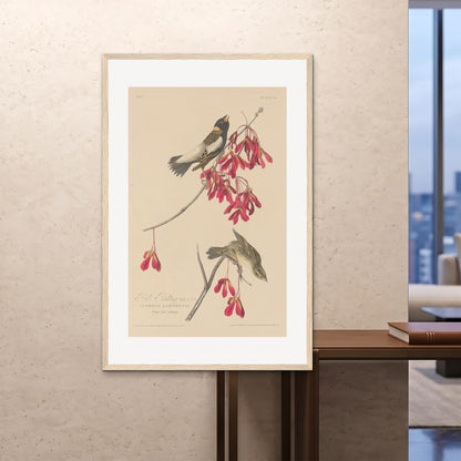 Orlonzo - FRAMED PRINT WOOD 100x150cm40x60 ROOM
