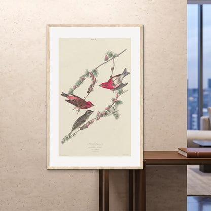 Orlonzo - FRAMED PRINT WOOD 100x150cm40x60 ROOM