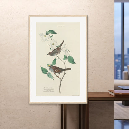 Orlonzo - FRAMED PRINT WOOD 100x150cm40x60 ROOM