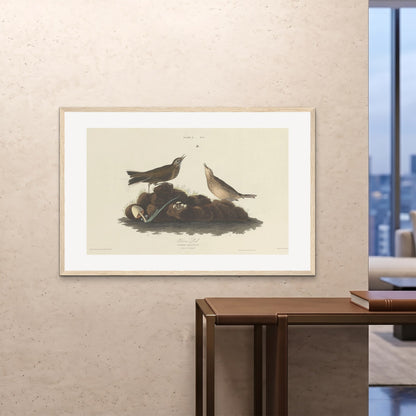 Orlonzo - FRAMED PRINT WOOD 12080cm4832 ROOM