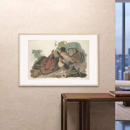 Orlonzo - FRAMED PRINT WOOD 12080cm4832 ROOM
