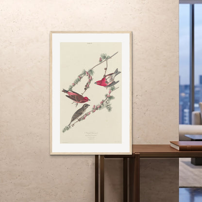 Orlonzo - FRAMED PRINT WOOD 80120cm3248 ROOM