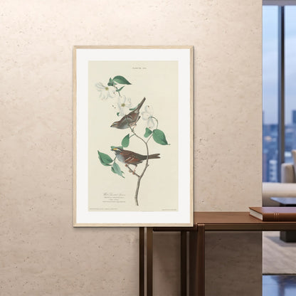 Orlonzo - FRAMED PRINT WOOD 80120cm3248 ROOM