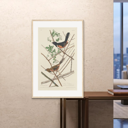 Orlonzo - FRAMED PRINT WOOD 80120cm3248 ROOM