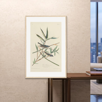 Orlonzo - FRAMED PRINT WOOD 80120cm3248 ROOM