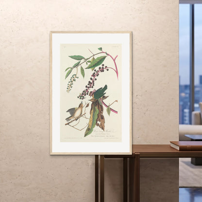 Orlonzo - FRAMED PRINT WOOD 80120cm3248 ROOM