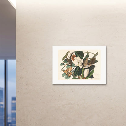 Orlonzo - FINE ART PRINT UNFRAMED 10070cm4028 ROOM