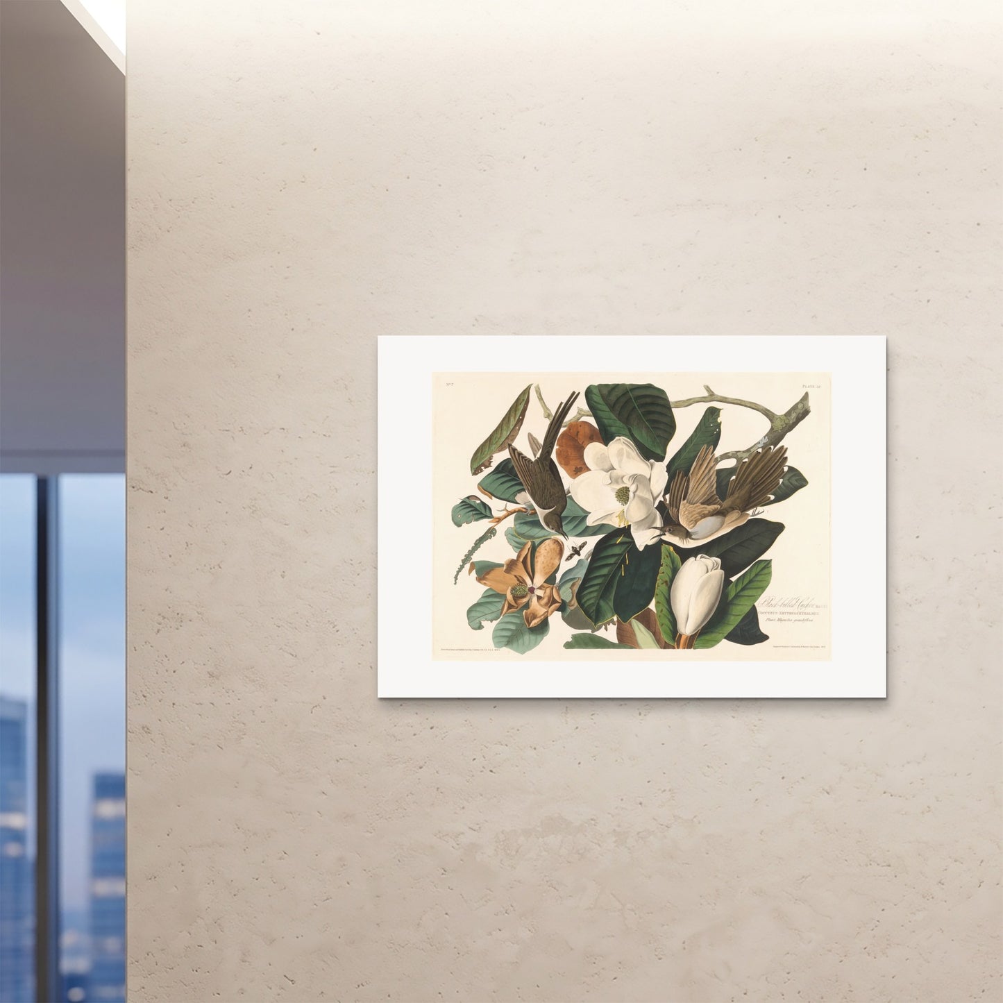 Orlonzo - FINE ART PRINT UNFRAMED 1189841cm4733 ROOM