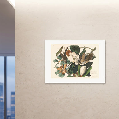 Orlonzo - FINE ART PRINT UNFRAMED 1189841cm4733 ROOM
