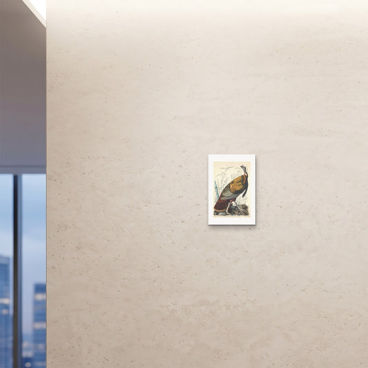 Orlonzo - FINE ART PRINT UNFRAMED 12x1830x45cm ROOM