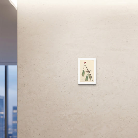Orlonzo - FINE ART PRINT UNFRAMED 12x1830x45cm ROOM