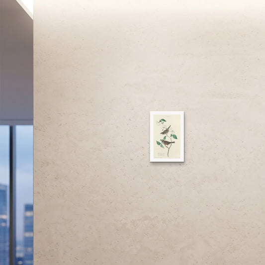 Orlonzo - FINE ART PRINT UNFRAMED 12x1830x45cm ROOM