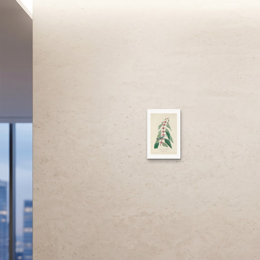 Orlonzo - FINE ART PRINT UNFRAMED 12x1830x45cm ROOM