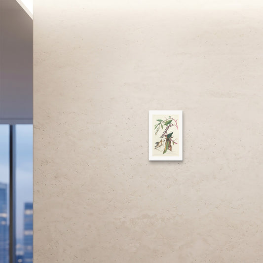 Orlonzo - FINE ART PRINT UNFRAMED 12x1830x45cm ROOM