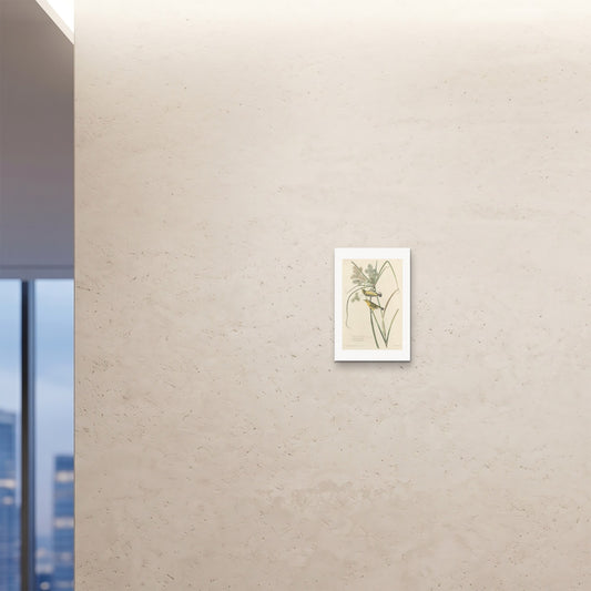 Orlonzo - FINE ART PRINT UNFRAMED 12x1830x45cm ROOM