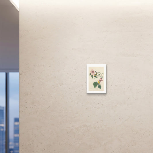 Orlonzo - FINE ART PRINT UNFRAMED 12x1830x45cm ROOM