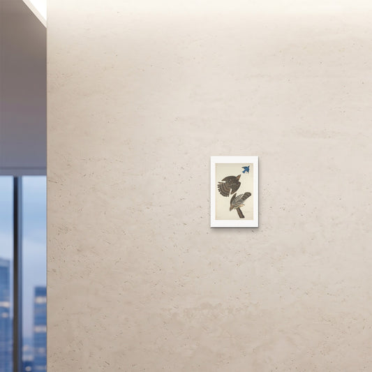 Orlonzo - FINE ART PRINT UNFRAMED 12x1830x45cm ROOM