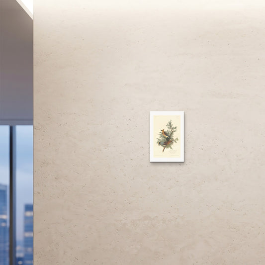 Orlonzo - FINE ART PRINT UNFRAMED 12x1830x45cm ROOM
