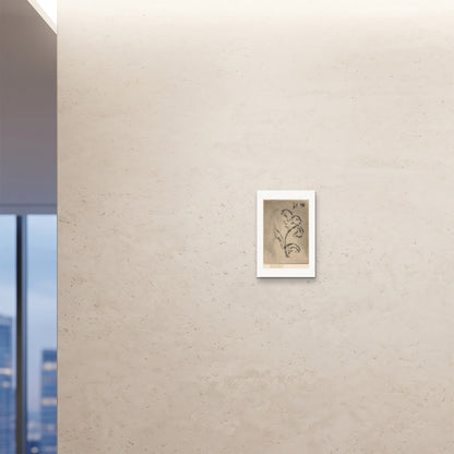 Orlonzo - FINE ART PRINT UNFRAMED 12x1830x45cm ROOM
