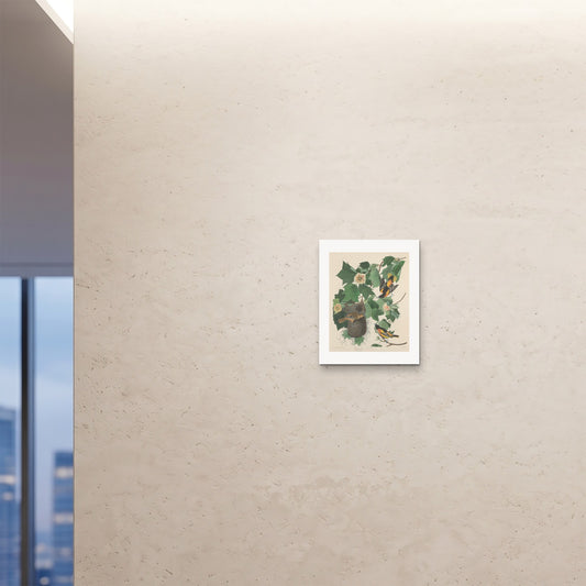 Orlonzo - FINE ART PRINT UNFRAMED 16x2040x50cm ROOM