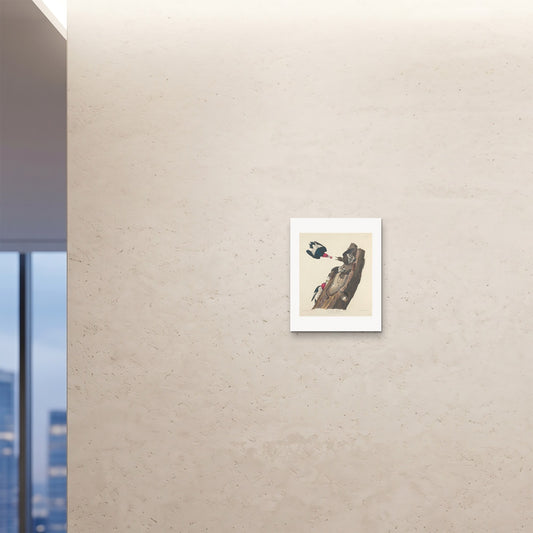 Orlonzo - FINE ART PRINT UNFRAMED 16x2040x50cm ROOM