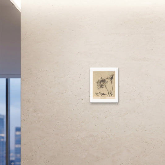 Orlonzo - FINE ART PRINT UNFRAMED 16x2040x50cm ROOM