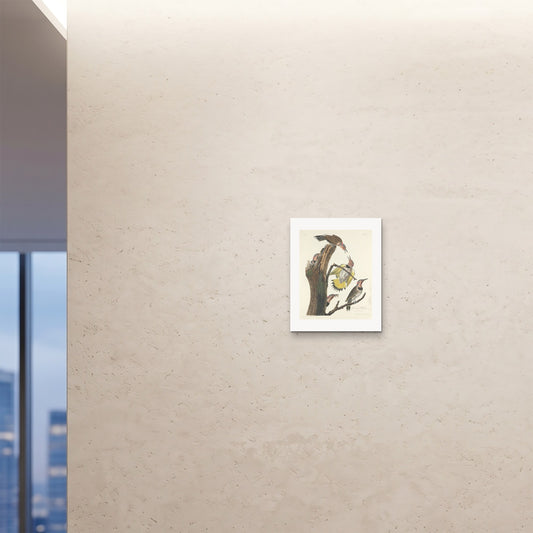 Orlonzo - FINE ART PRINT UNFRAMED 16x2040x50cm ROOM