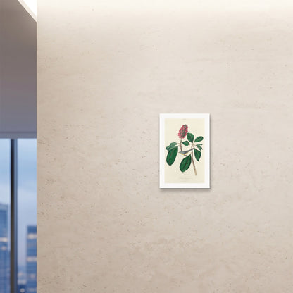 Orlonzo - FINE ART PRINT UNFRAMED 16x2440x60cm ROOM