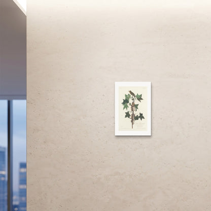 Orlonzo - FINE ART PRINT UNFRAMED 16x2440x60cm ROOM