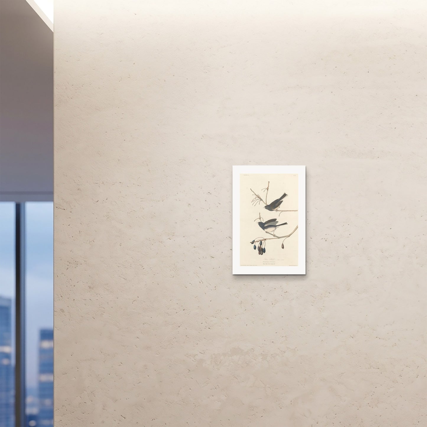 Orlonzo - FINE ART PRINT UNFRAMED 16x2440x60cm ROOM