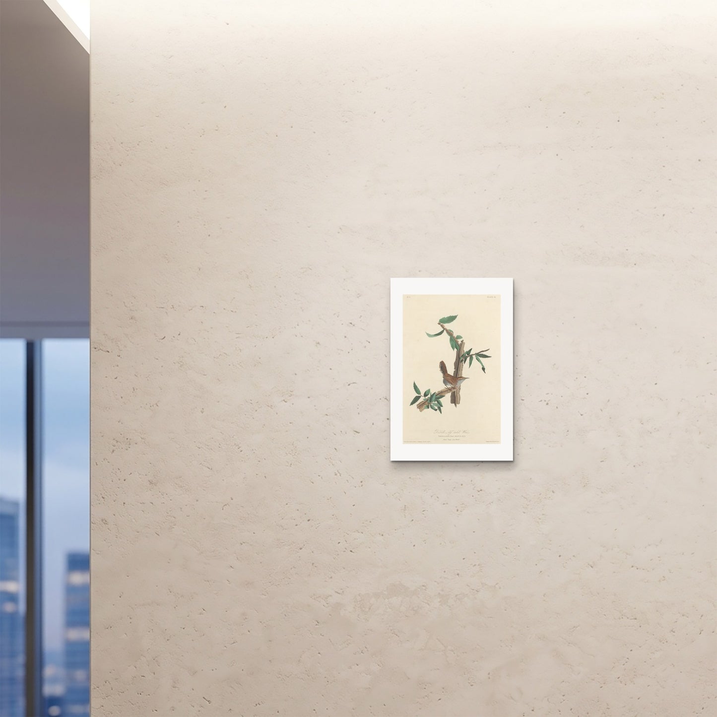 Orlonzo - FINE ART PRINT UNFRAMED 16x2440x60cm ROOM