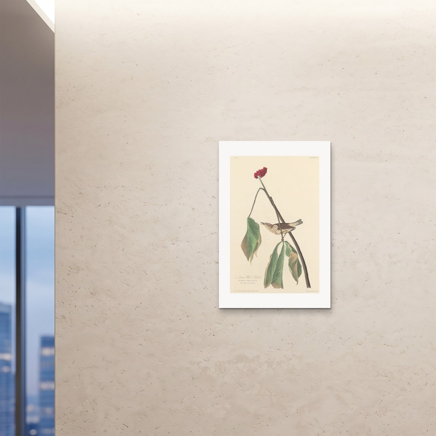 Orlonzo - FINE ART PRINT UNFRAMED 24x3660x90cm ROOM