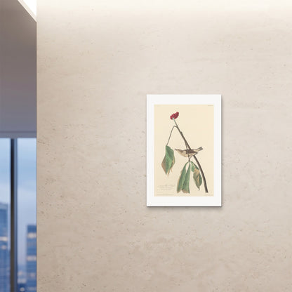 Orlonzo - FINE ART PRINT UNFRAMED 24x3660x90cm ROOM