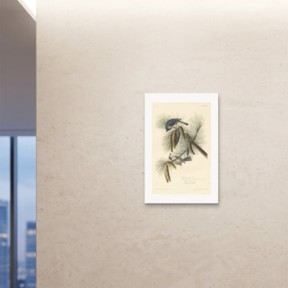 Orlonzo - FINE ART PRINT UNFRAMED 24x3660x90cm ROOM