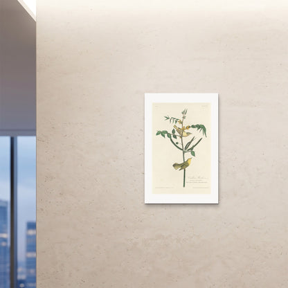 Orlonzo - FINE ART PRINT UNFRAMED 24x3660x90cm ROOM