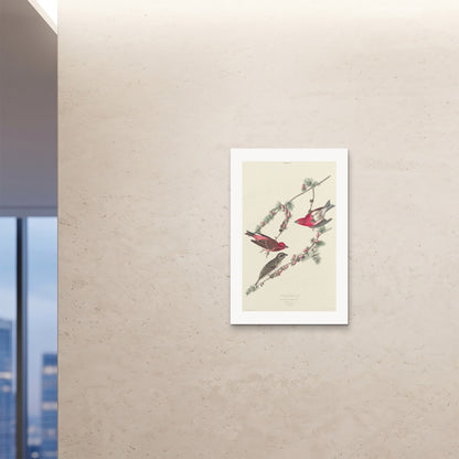 Orlonzo - FINE ART PRINT UNFRAMED 24x3660x90cm ROOM