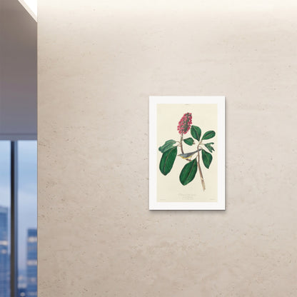 Orlonzo - FINE ART PRINT UNFRAMED 24x3660x90cm ROOM