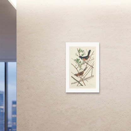 Orlonzo - FINE ART PRINT UNFRAMED 24x3660x90cm ROOM