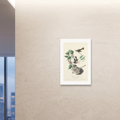 Orlonzo - FINE ART PRINT UNFRAMED 24x3660x90cm ROOM