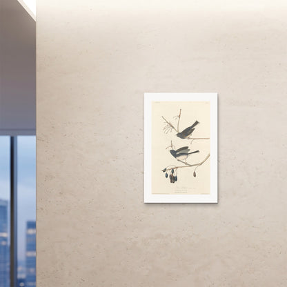 Orlonzo - FINE ART PRINT UNFRAMED 24x3660x90cm ROOM