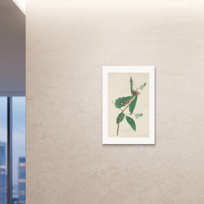 Orlonzo - FINE ART PRINT UNFRAMED 24x3660x90cm ROOM