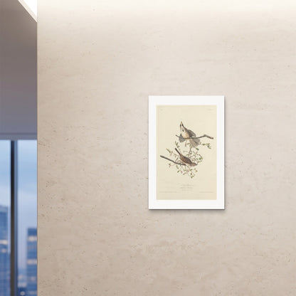 Orlonzo - FINE ART PRINT UNFRAMED 24x3660x90cm ROOM