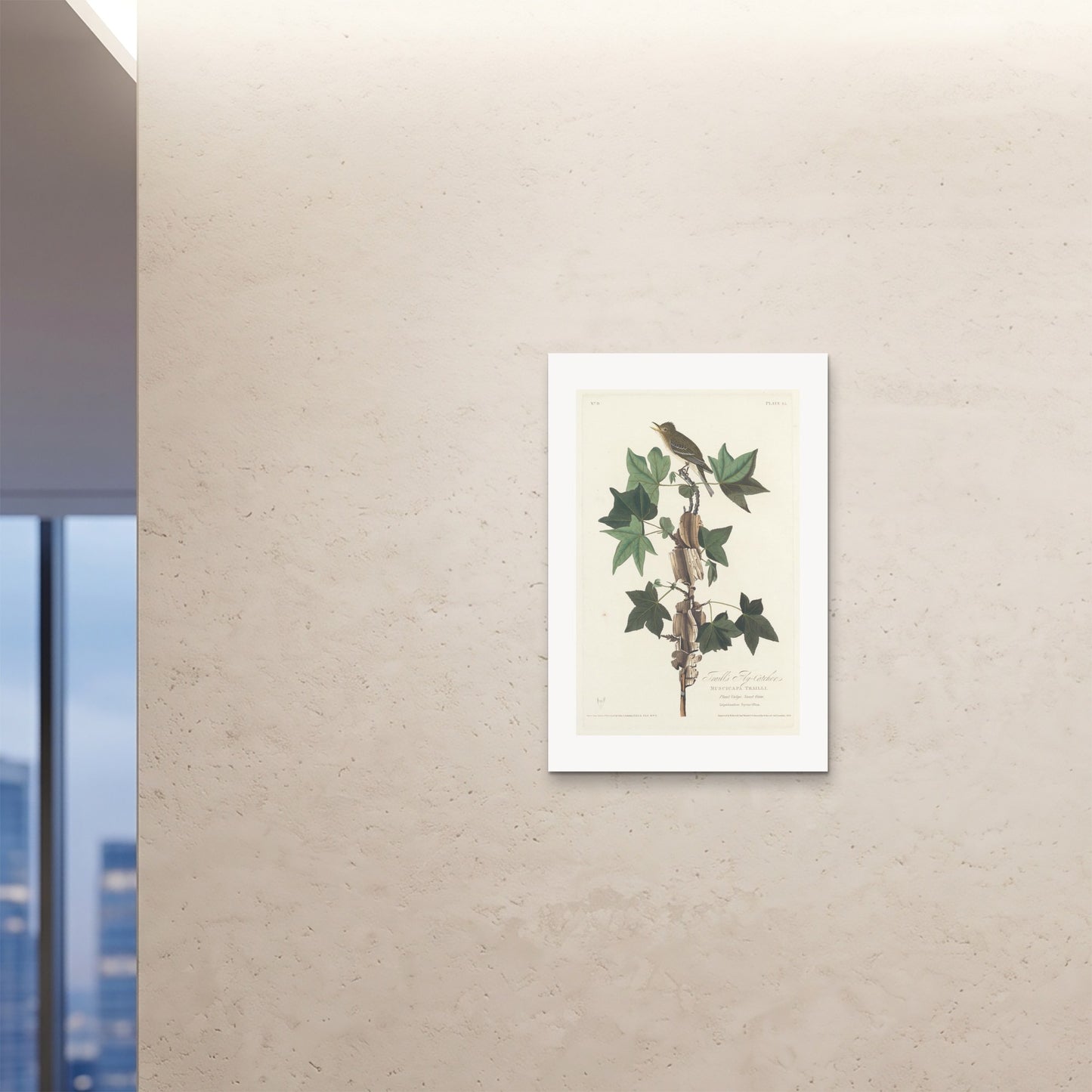 Orlonzo - FINE ART PRINT UNFRAMED 24x3660x90cm ROOM